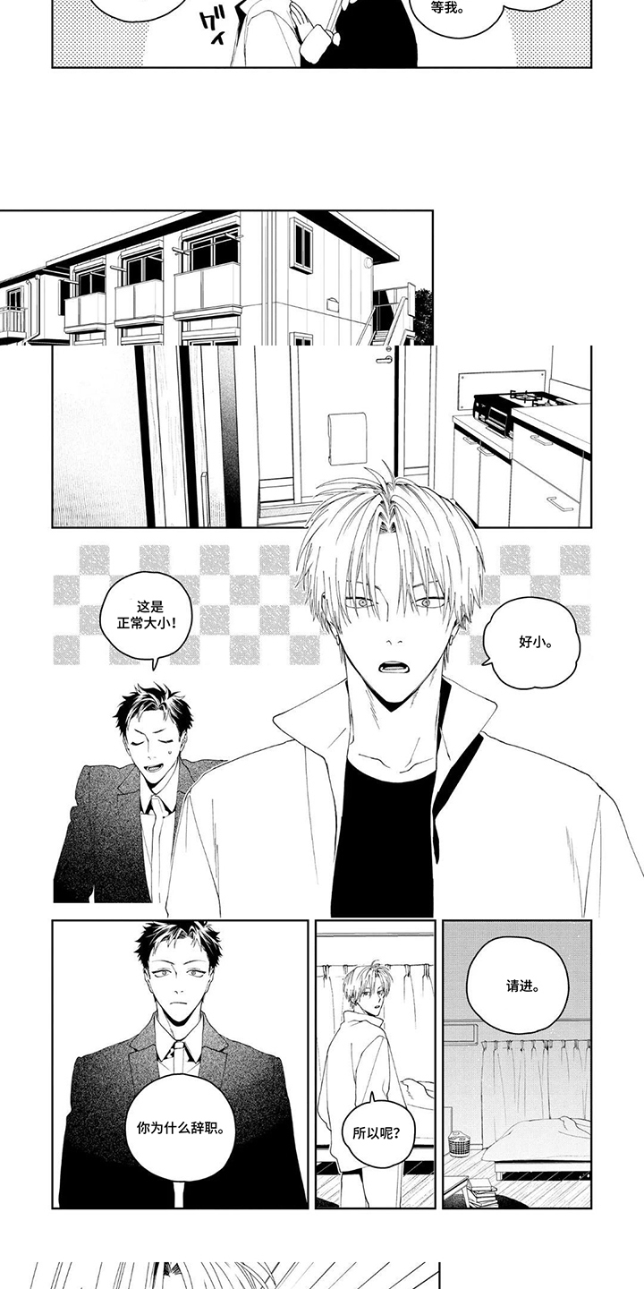 少主请别生气漫画,第13章：为什么辞职5图