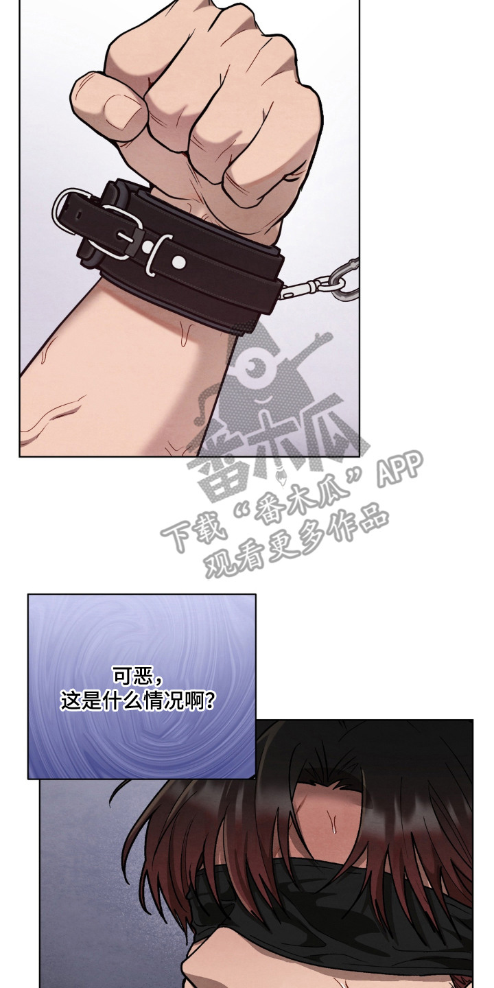 复仇驯养漫画,第1章：疯子2图