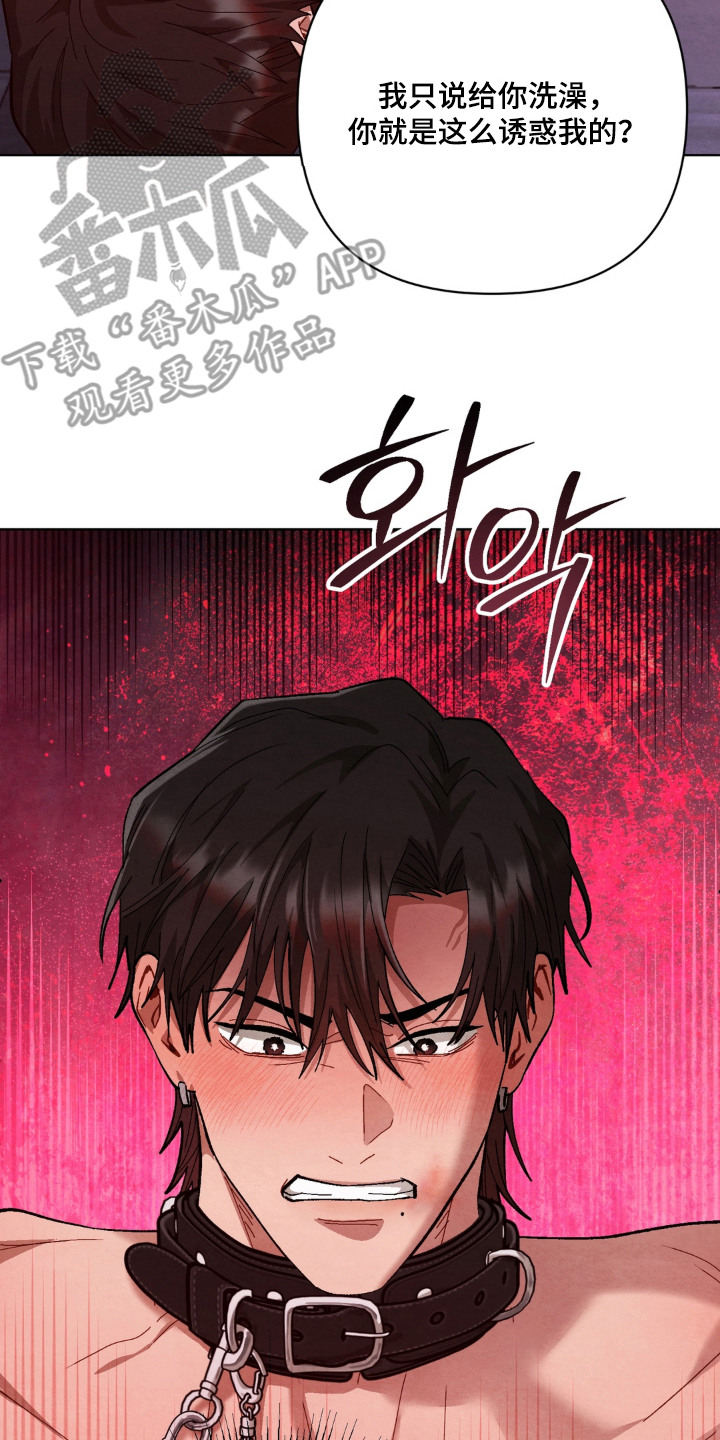 复仇驯养漫画,第14章：惩罚2图