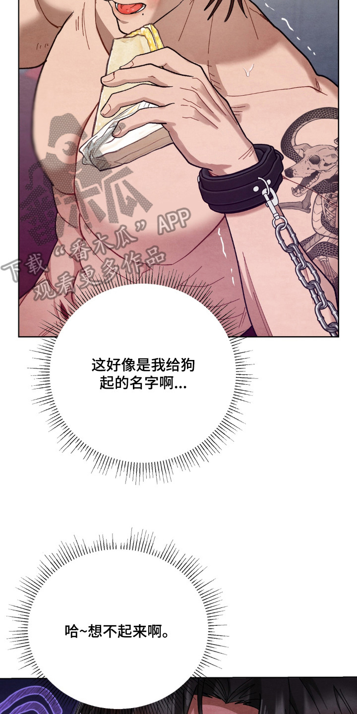 复仇驯养结局解析漫画,第12章：提示3图