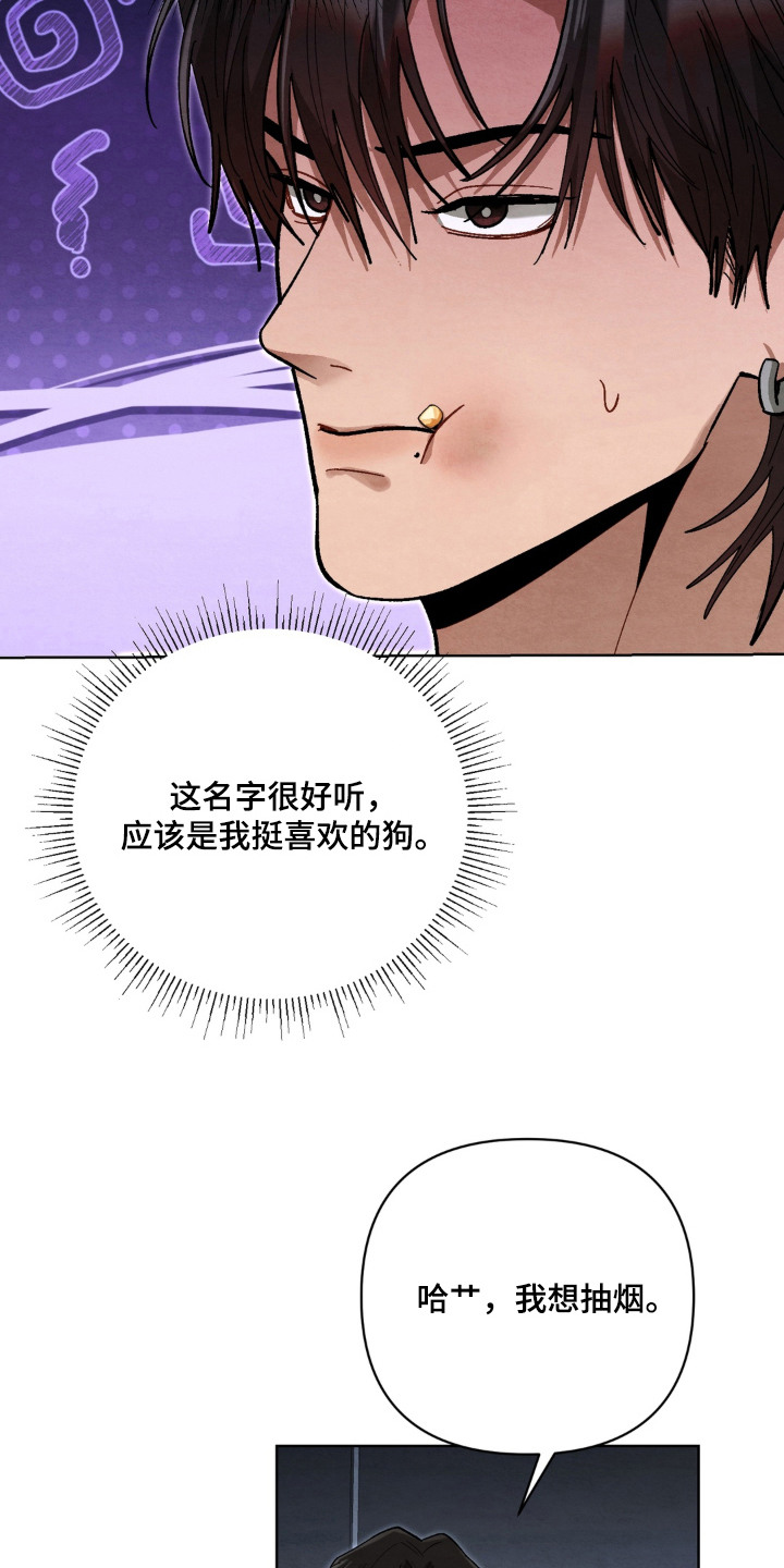 复仇驯养结局解析漫画,第12章：提示4图
