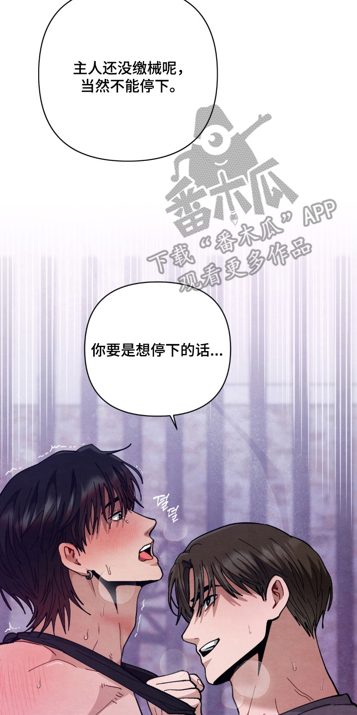 复仇驯养漫画,第9章：摇尾乞怜2图