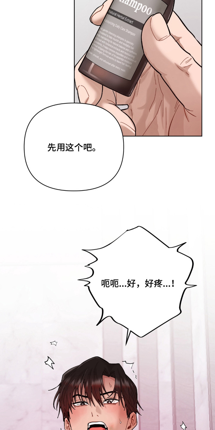 复仇驯养漫画,第14章：惩罚2图