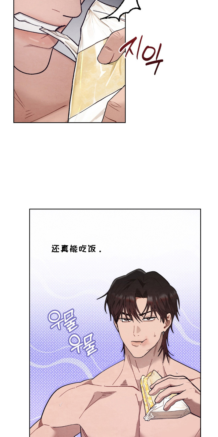 复仇驯养结局解析漫画,第12章：提示3图