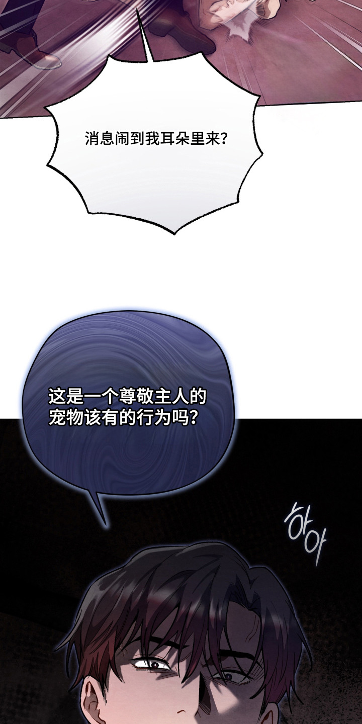 复仇驯养漫画,第2章：金主3图