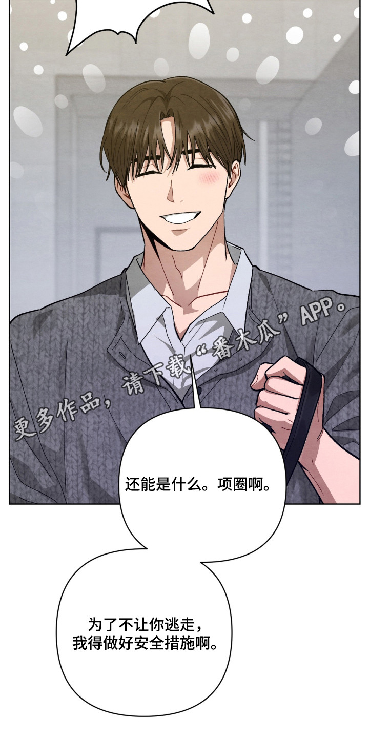 复仇驯养漫画,第14章：惩罚4图