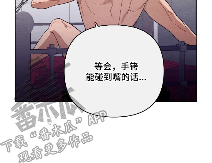 复仇驯养结局解析漫画,第12章：提示1图