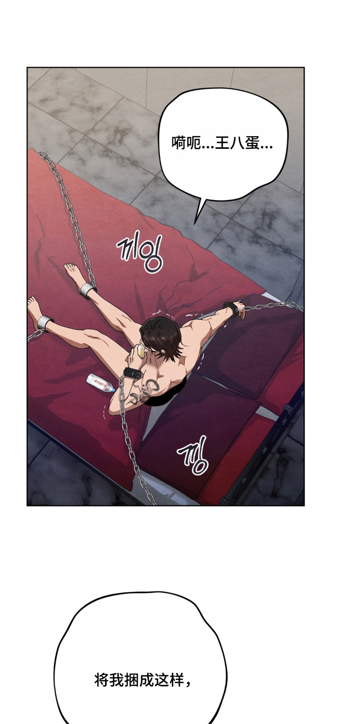 复仇驯养结局解析漫画,第12章：提示1图