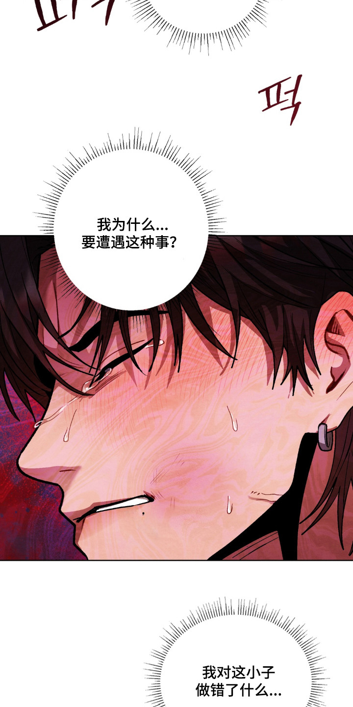 复仇驯养漫画,第10章：挨打4图
