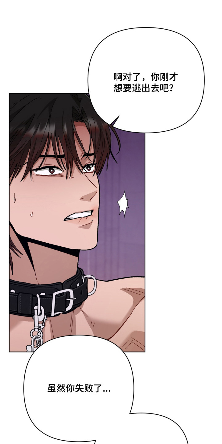 复仇驯养漫画,第14章：惩罚5图