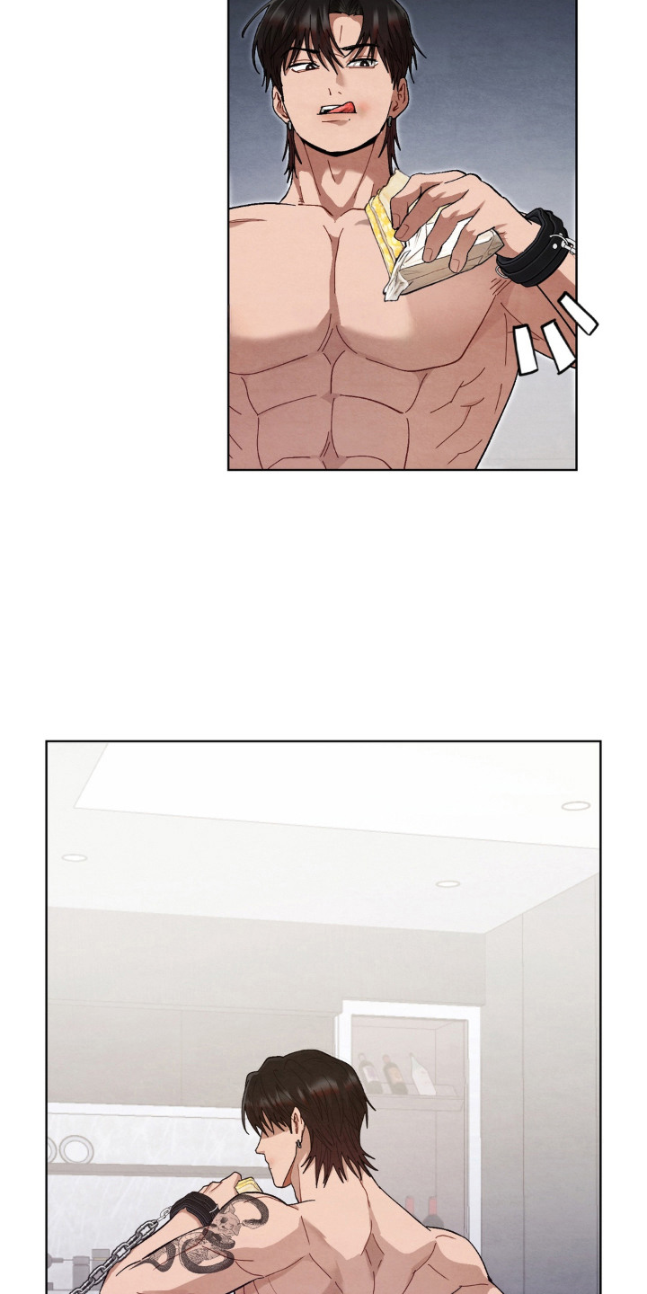 复仇驯养结局解析漫画,第12章：提示5图