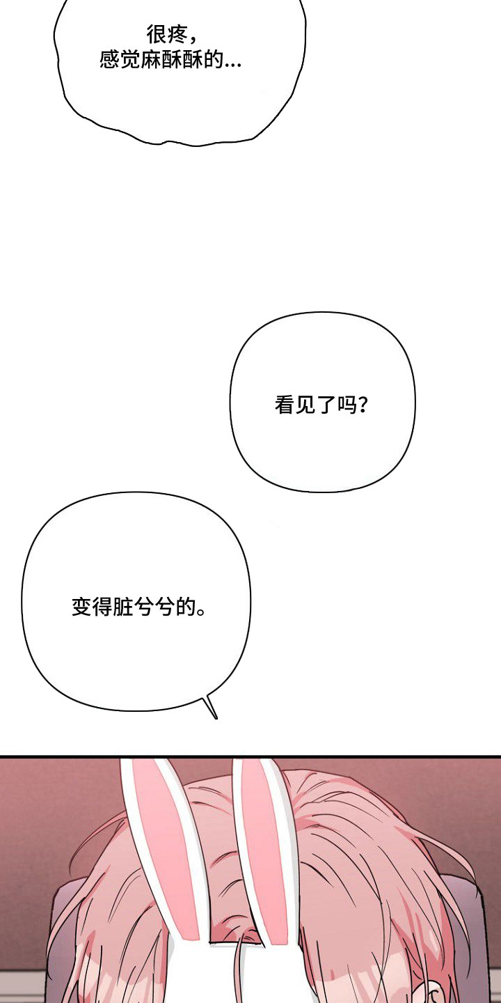 兔子蜜桃漫画,第3章：中途下播2图