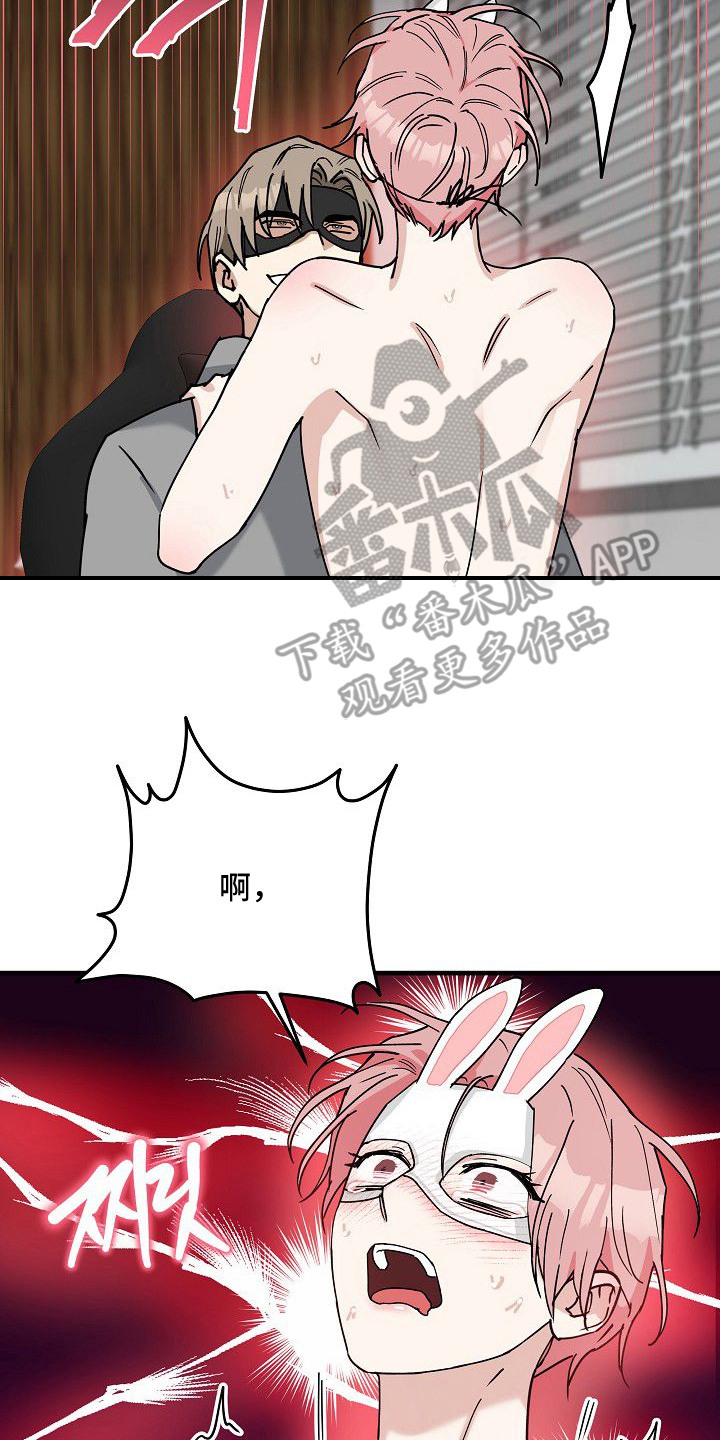 兔子与黑豹的共生关系漫画,第9章：贪心3图
