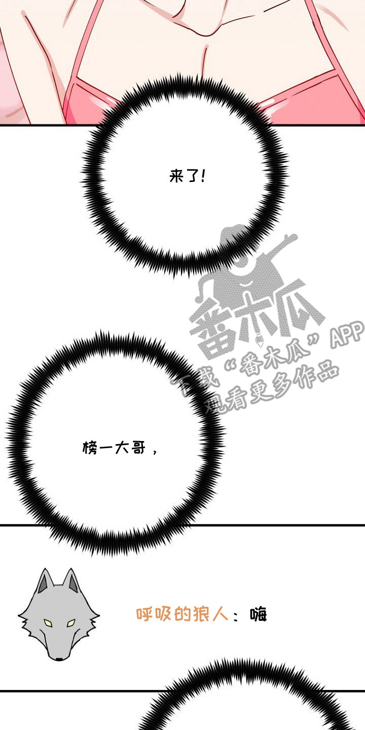 兔子与黑豹的共生关系漫画,第1章：直播1图