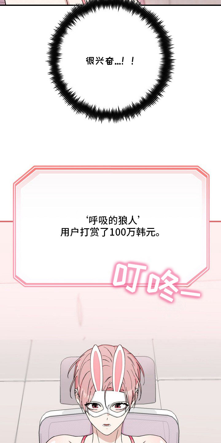 兔子与黑豹的共生关系漫画,第1章：直播4图