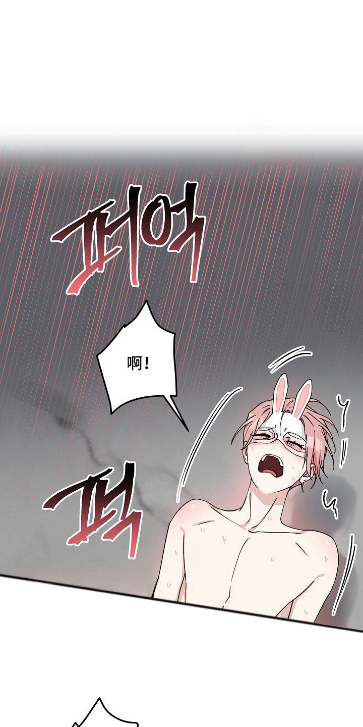 兔子蜜桃漫画,第10章：完全不同1图