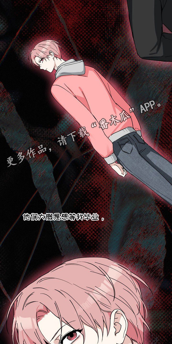 兔子与黑豹的共生关系漫画,第1章：直播4图