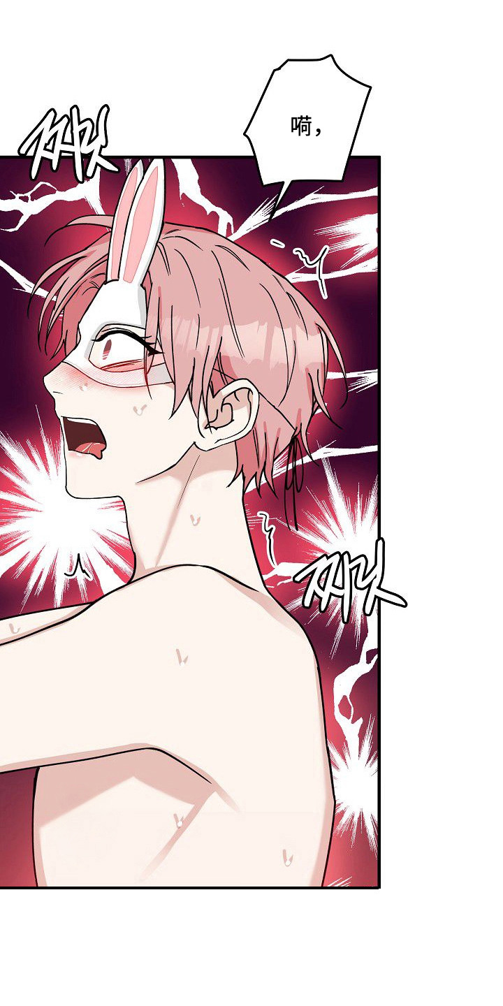 兔子蜜桃漫画,第10章：完全不同2图