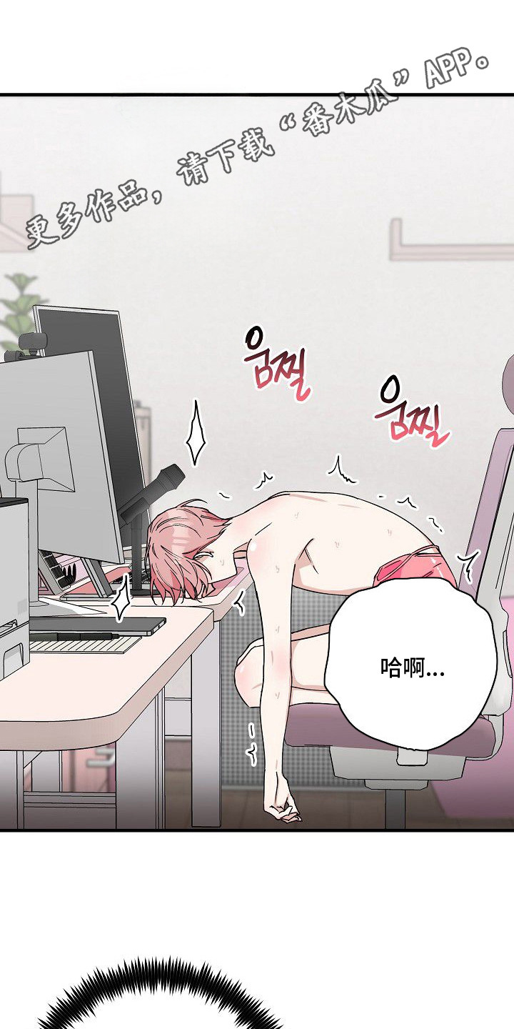 兔子与黑豹的共生关系漫画,第4章：拍卖1图