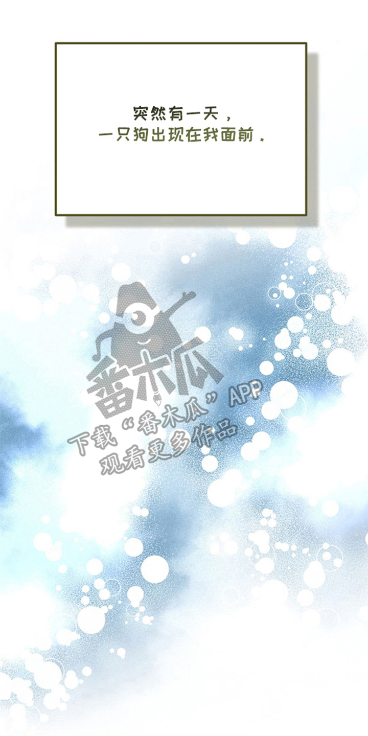 少爷的瓷器漫画,第12章：可爱的狗狗（完结）5图