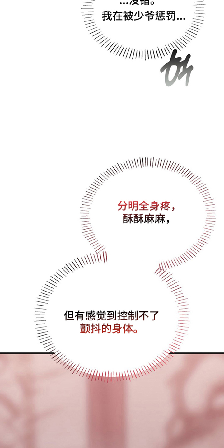 少爷的瓷器漫画,第8章：是我粗鲁了吗2图