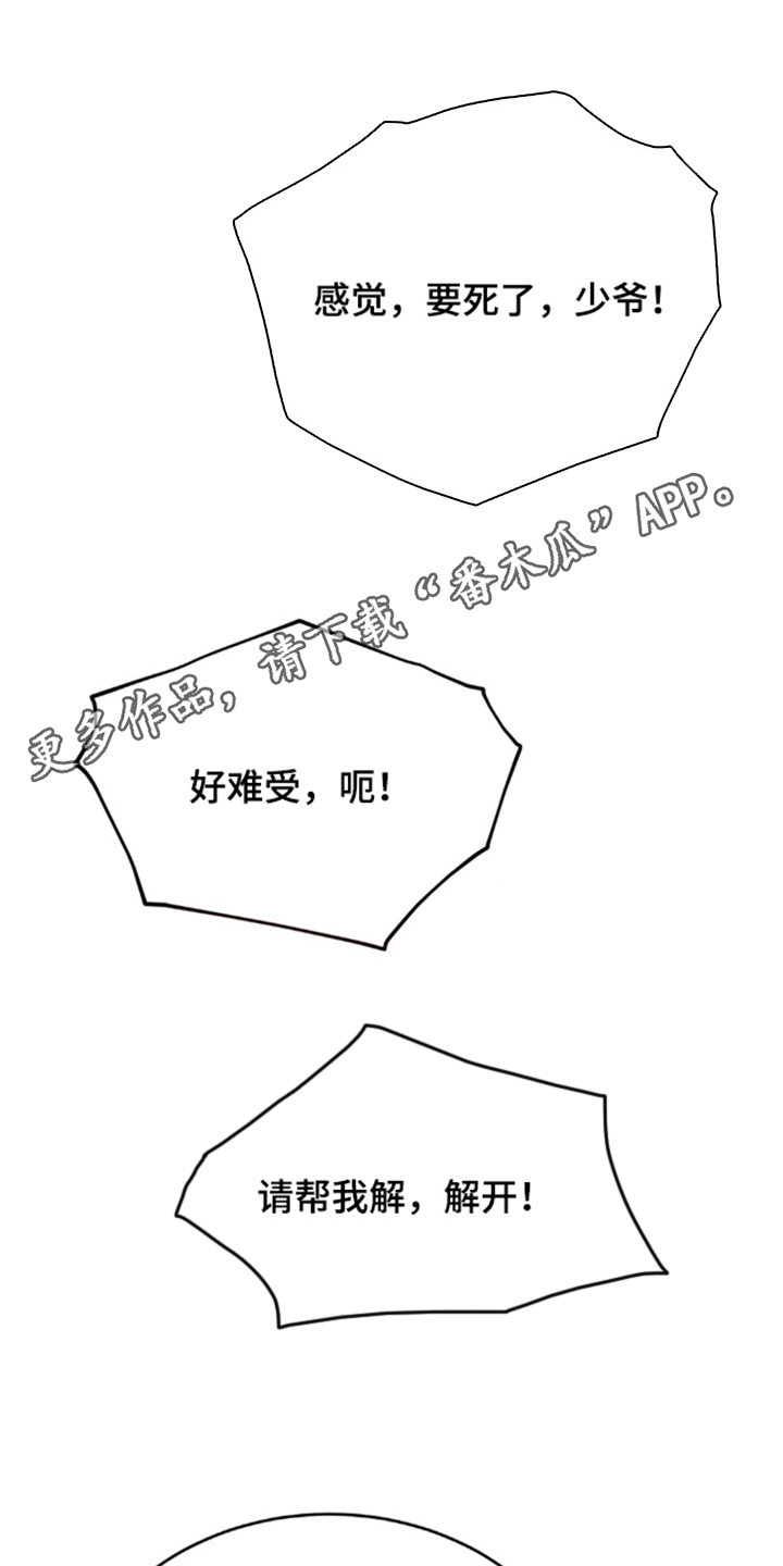 少爷的瓷器漫画,第8章：是我粗鲁了吗5图