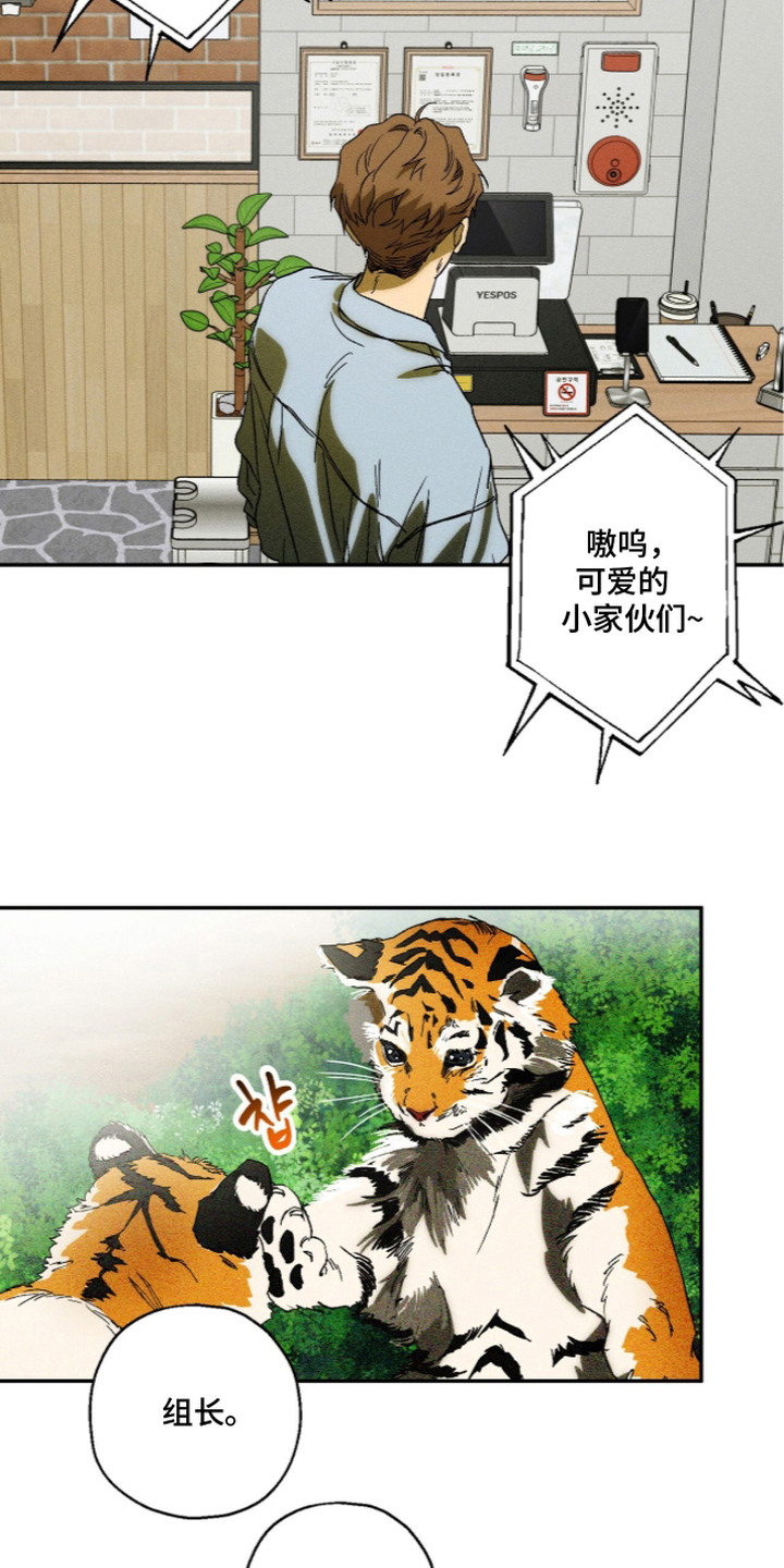 再次投向你漫画,第14章：不放心2图