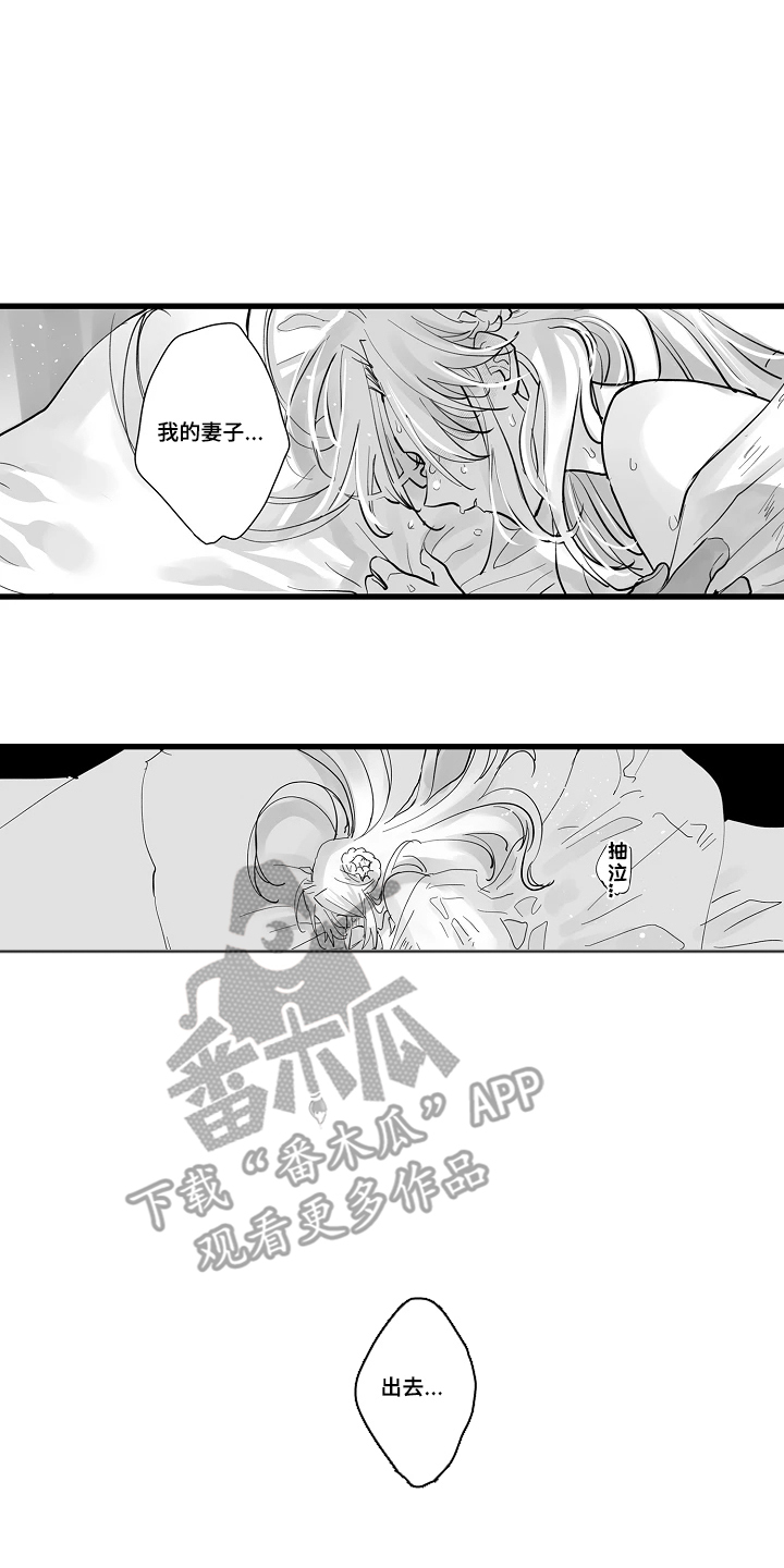 被囚于爱的沙漠漫画,第2章：婚事成立2图