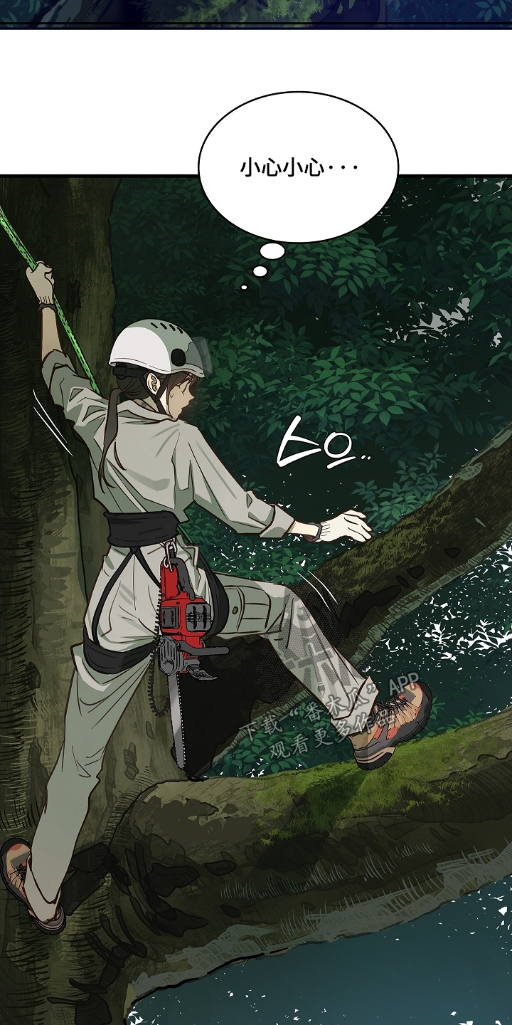 花是诱饵第二季漫画,第66章：掉下去3图