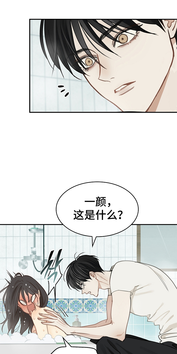 花是诱饵第二季漫画,第45章：害羞5图