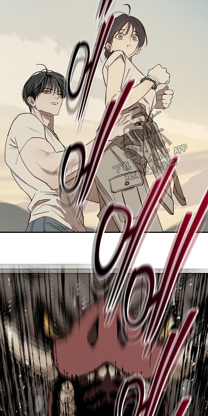 花是诱饵第二季漫画,第78章：野猪4图