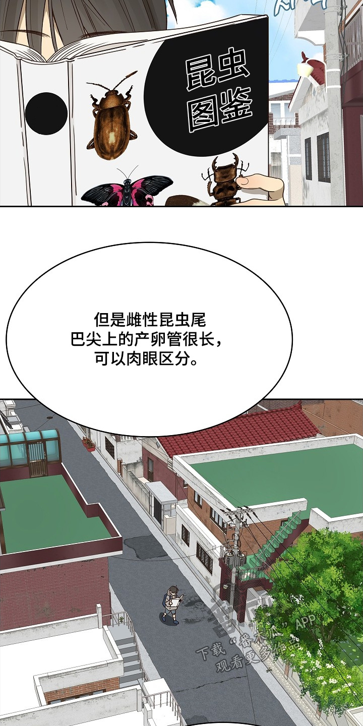 花是诱饵第二季漫画,第49章：冷静4图
