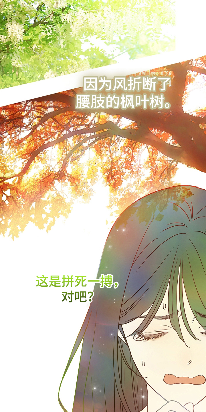 花是诱饵第二季漫画,第12章：谎言2图