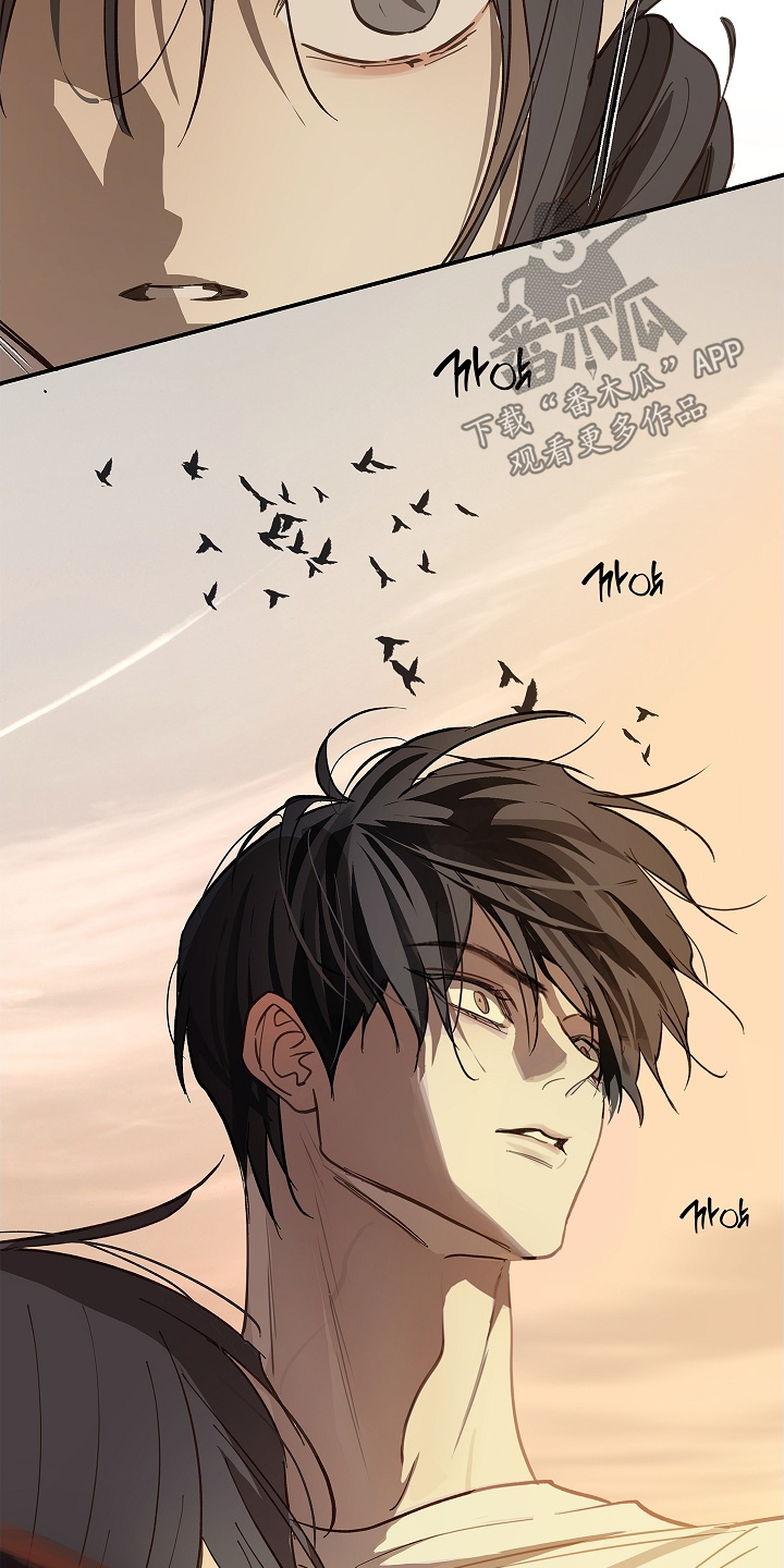 花是诱饵第二季漫画,第78章：野猪2图