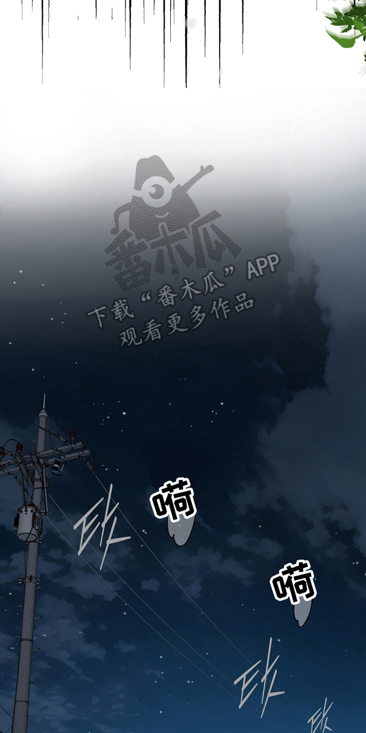 花是诱饵第二季漫画,第16章：操心的家伙2图