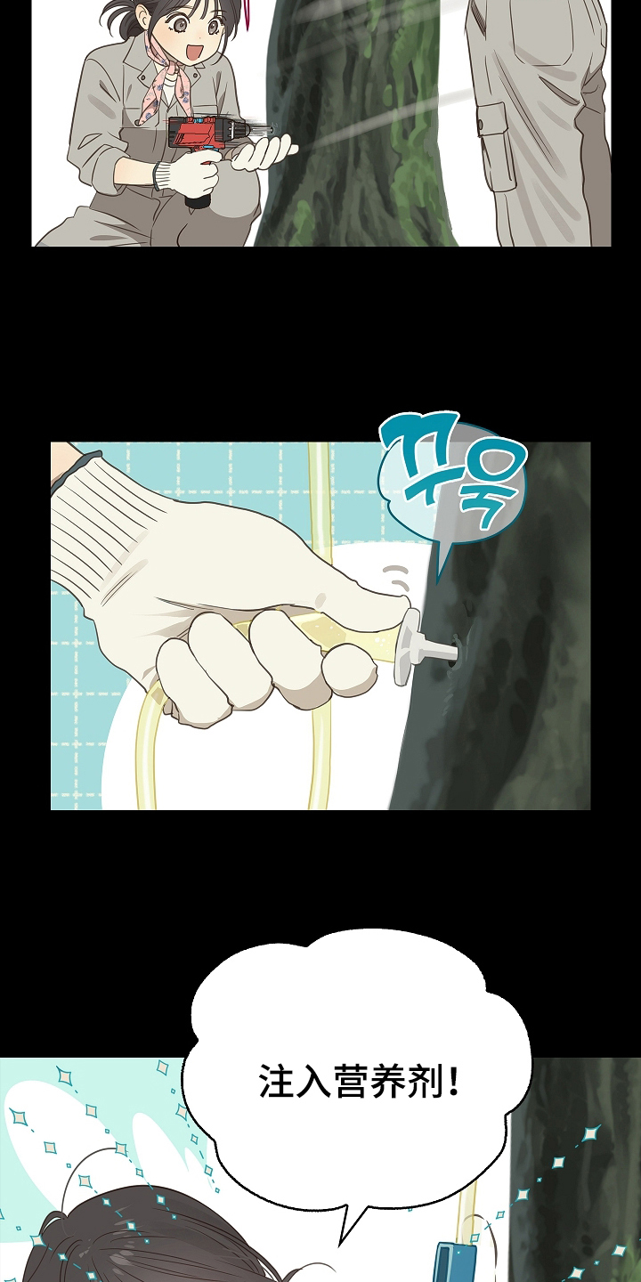花是诱饵第二季漫画,第1章：命案现场4图