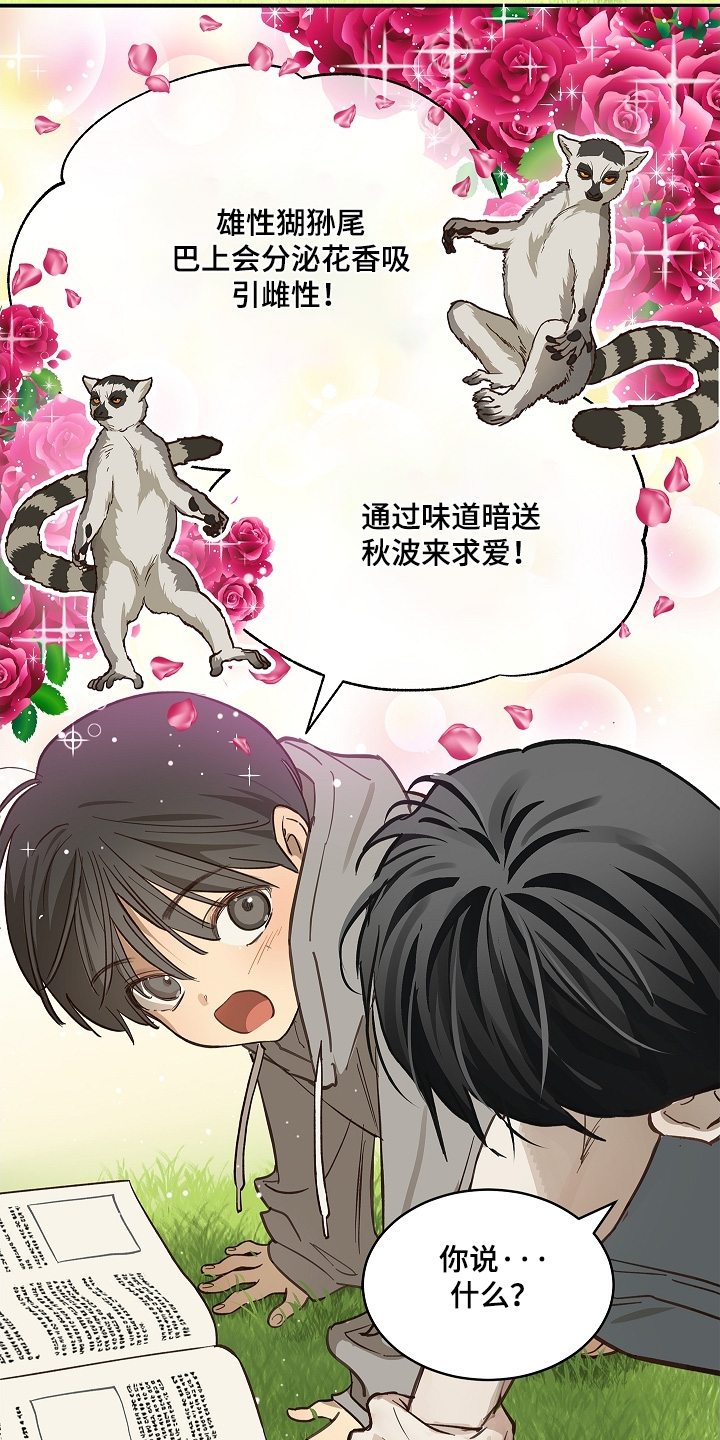 花是诱饵第二季漫画,第74章：什么意思3图