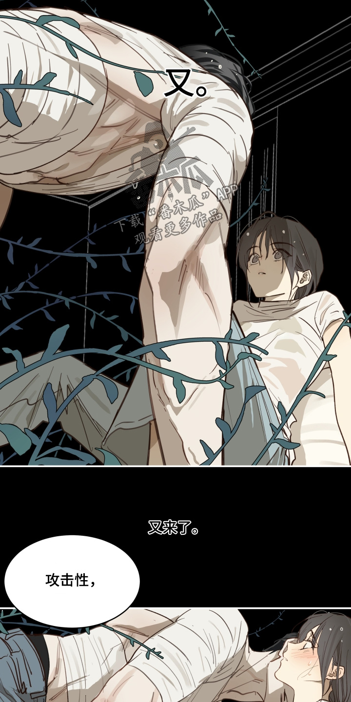 花是诱饵第二季漫画,第87章：快停下2图