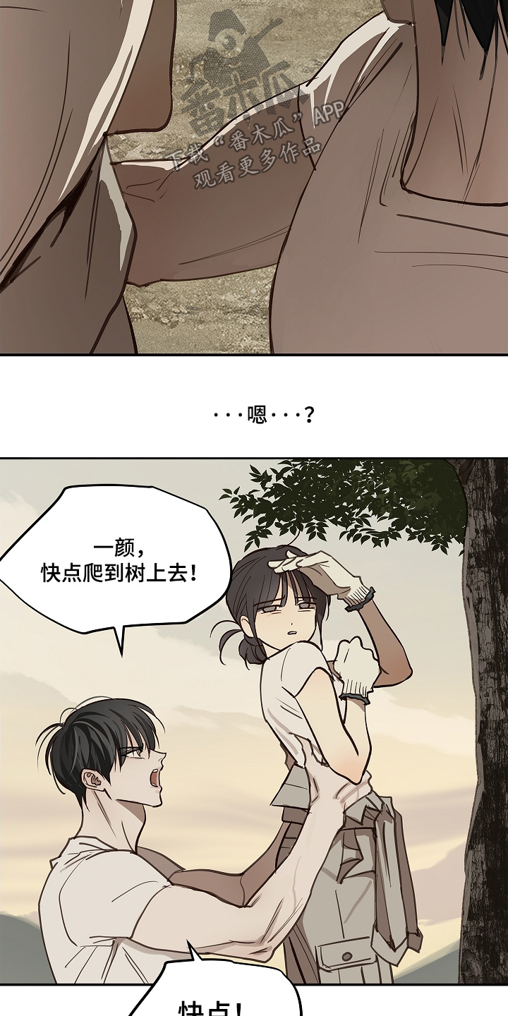 花是诱饵第二季漫画,第78章：野猪2图