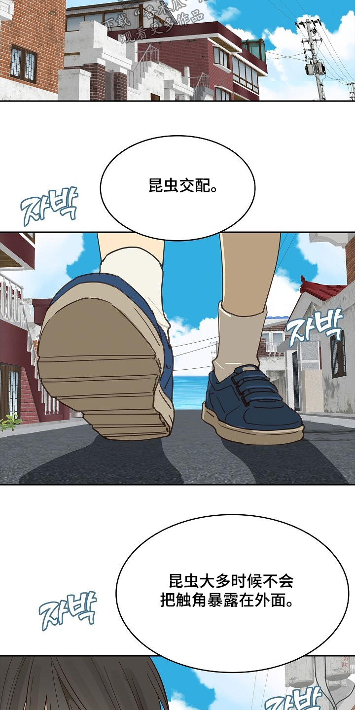 花是诱饵第二季漫画,第49章：冷静3图