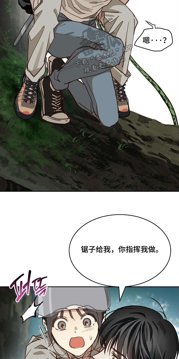 花是诱饵第二季漫画,第68章：继续2图