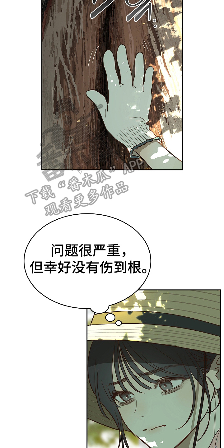 花是诱饵第二季漫画,第14章：致命的种子4图