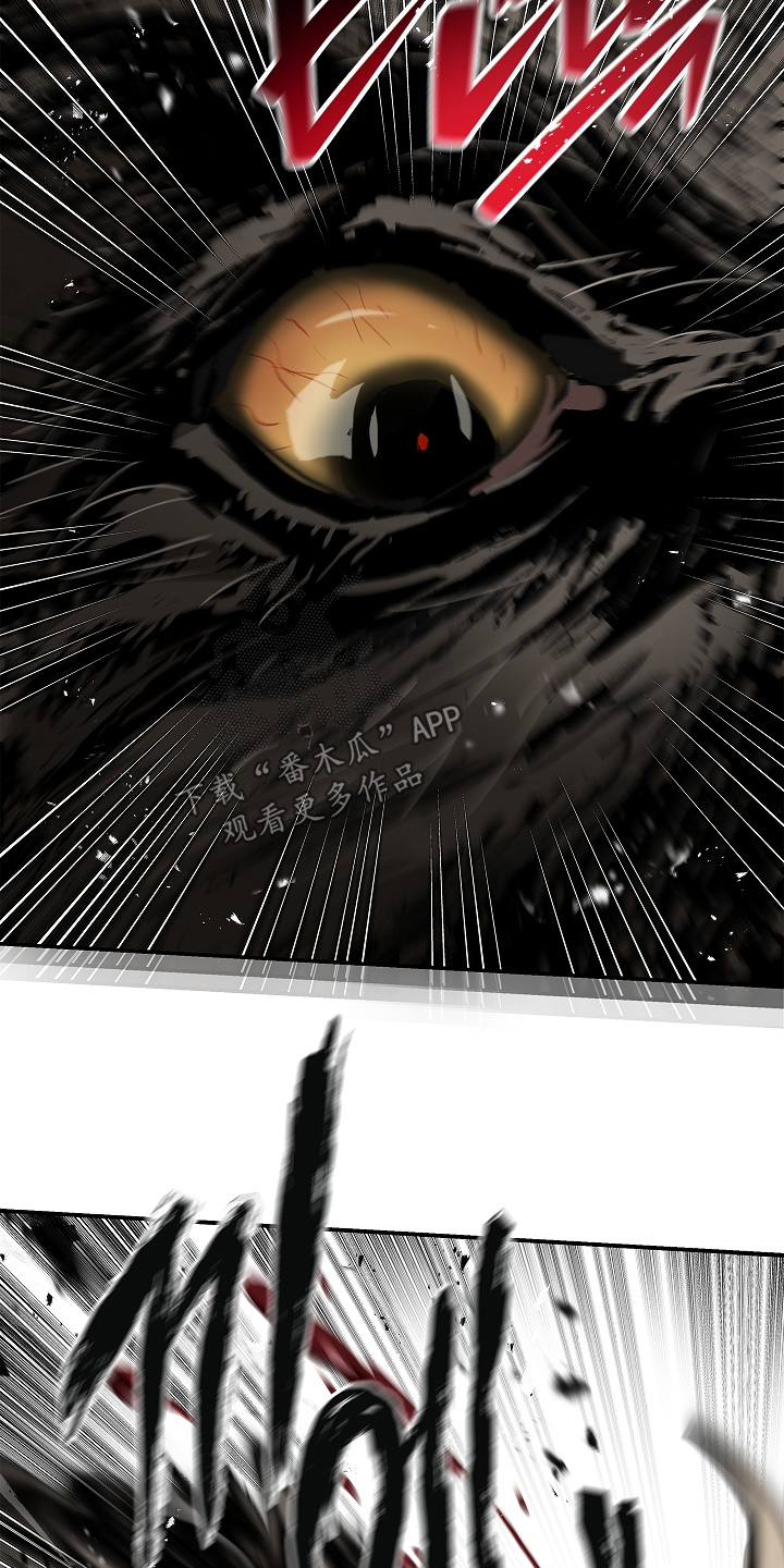 花是诱饵第二季小说剧情漫画,第79章：千万不能死2图