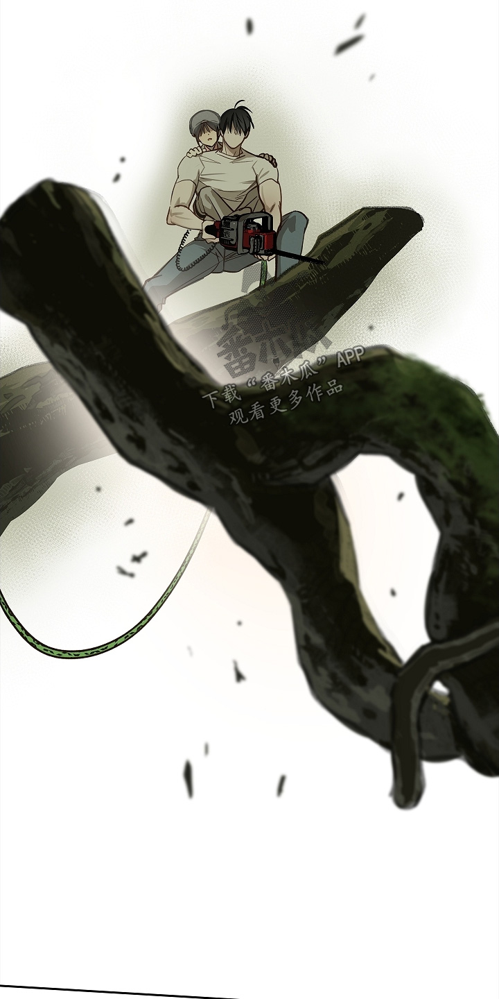 花是诱饵第二季漫画,第69章：成功了3图