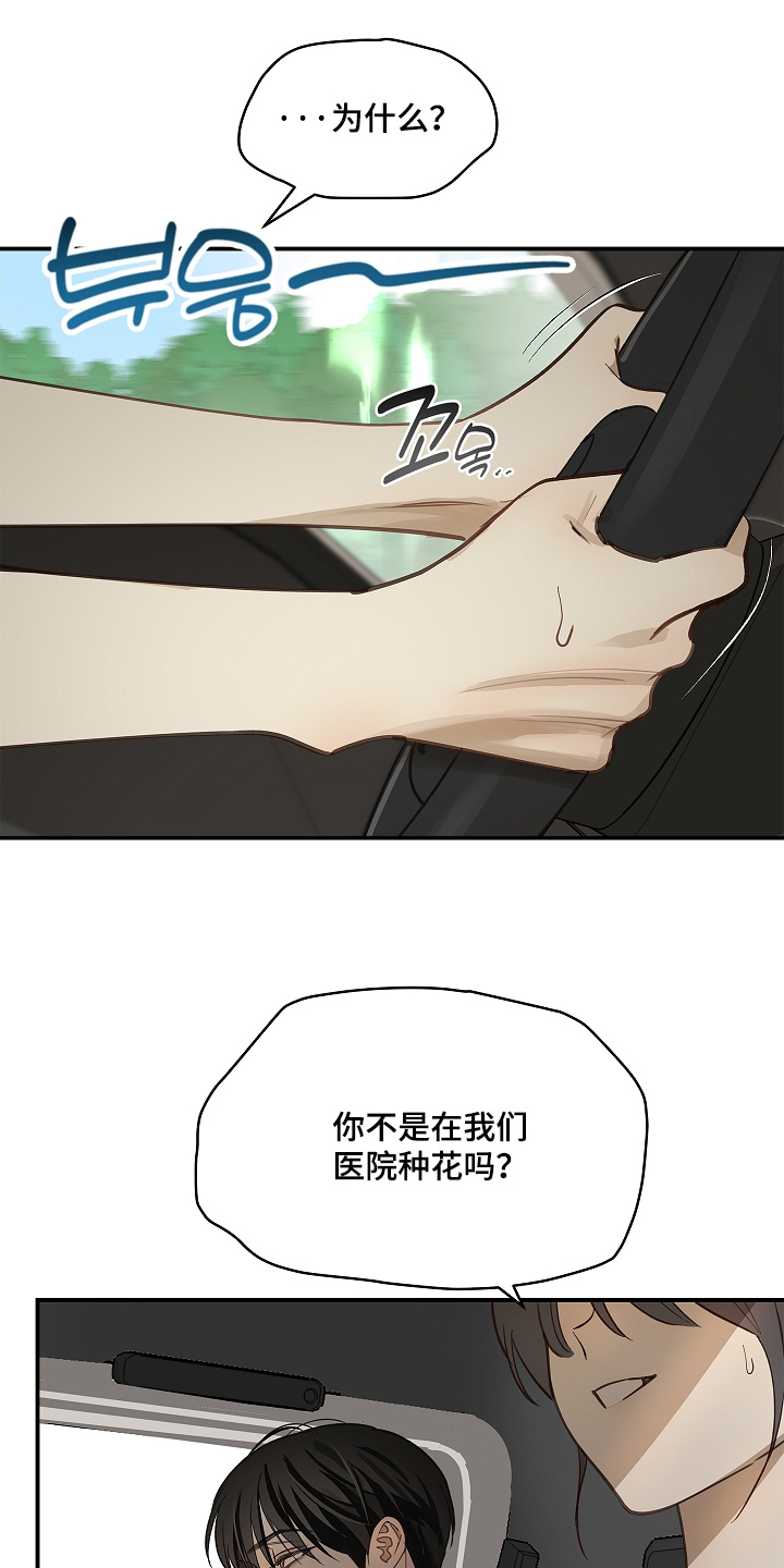 花是诱饵第二季漫画,第75章：你没事吧3图