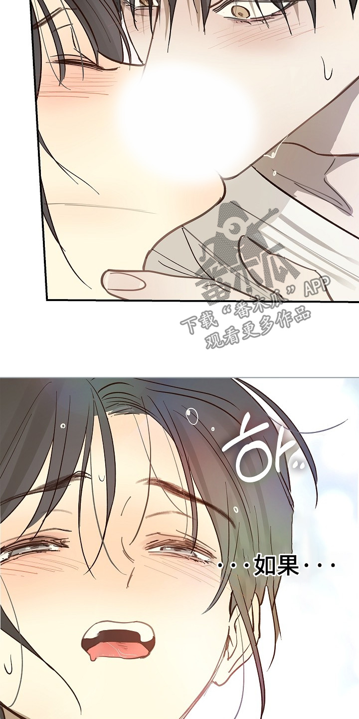 花是诱饵第二季漫画,第85章：你有伤1图