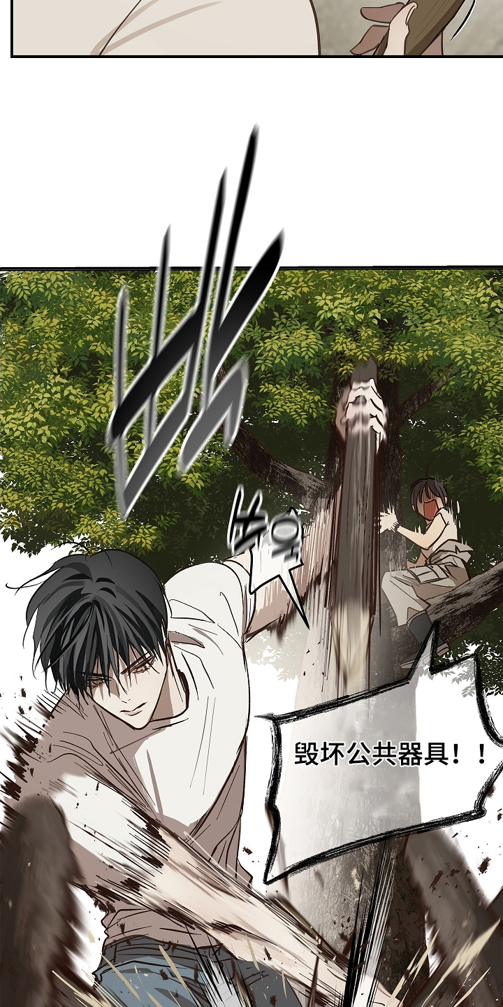 花是诱饵第二季漫画,第78章：野猪4图