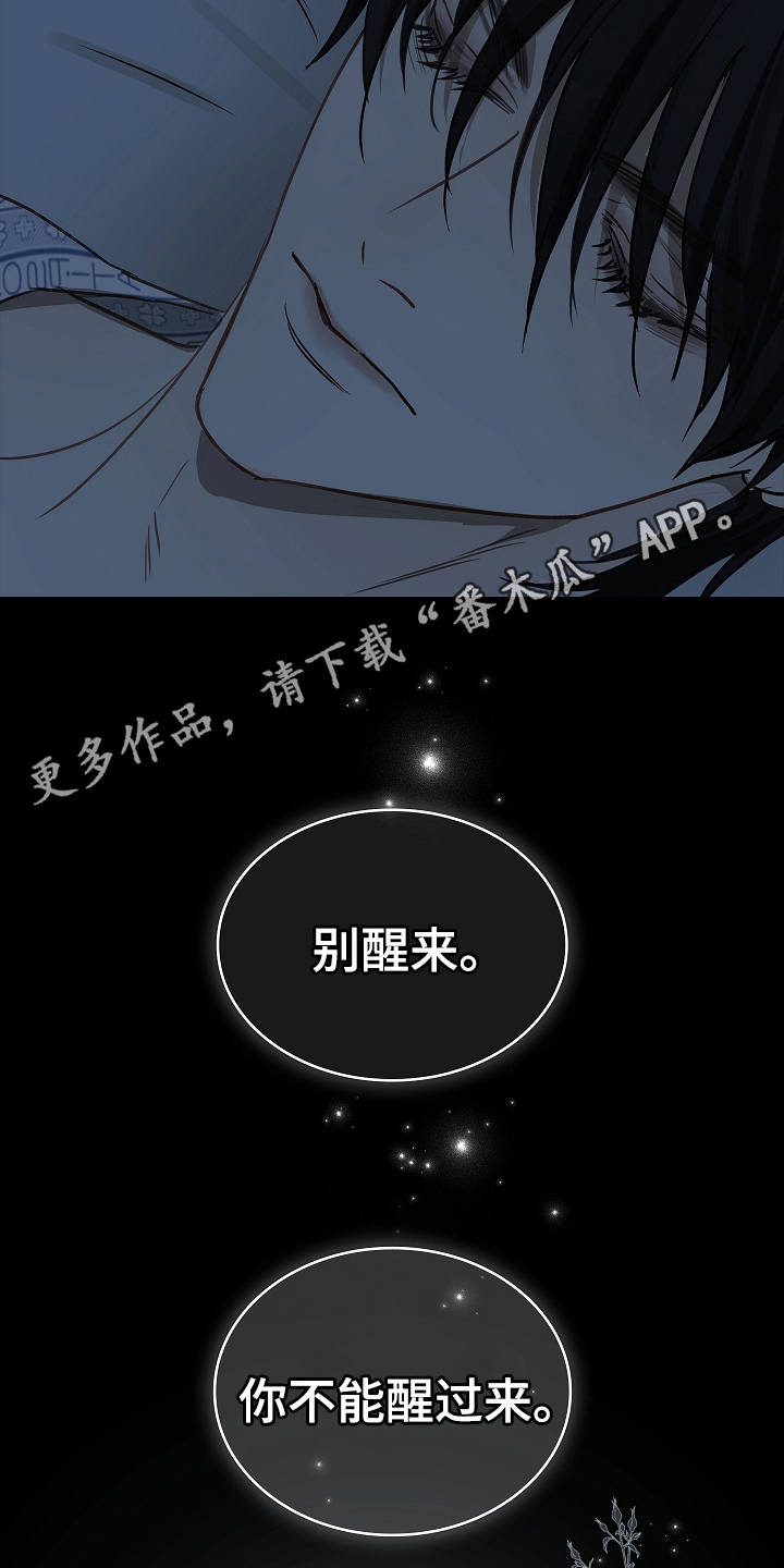 花是诱饵第二季漫画,第9章：机会3图