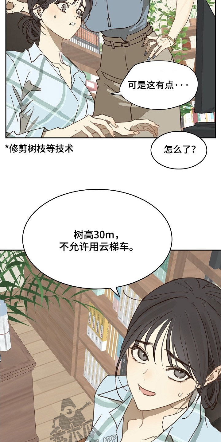 花是诱饵第二季漫画,第49章：冷静4图