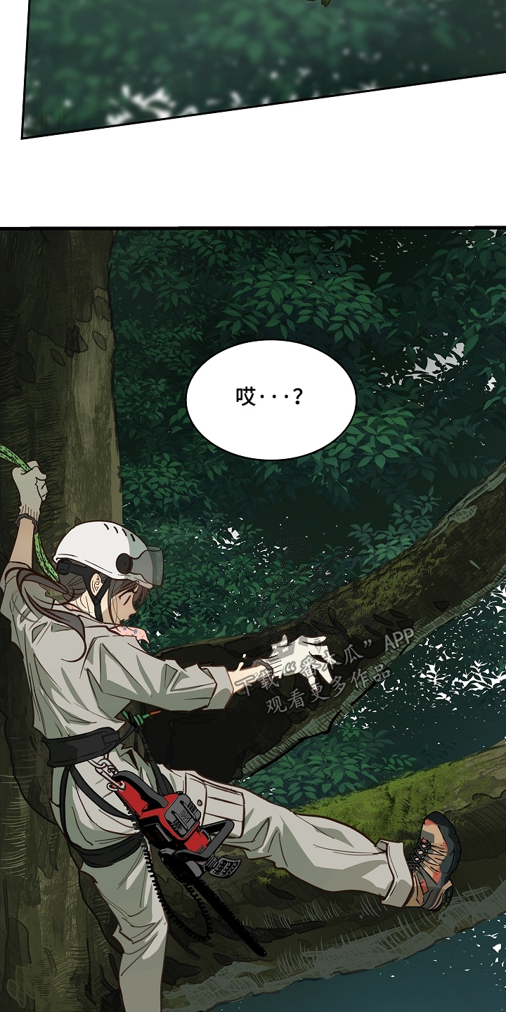 花是诱饵第二季漫画,第66章：掉下去5图